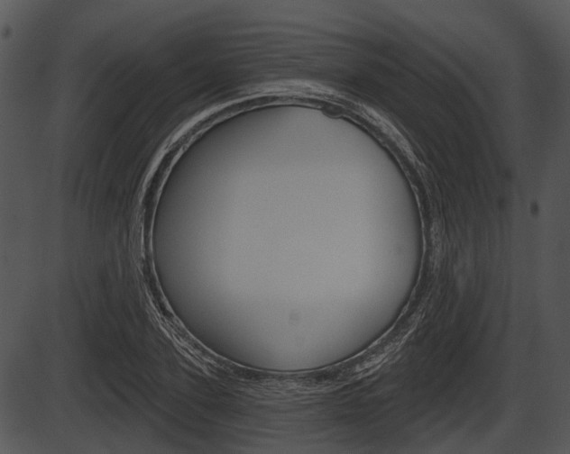 X0000087510931200704270750