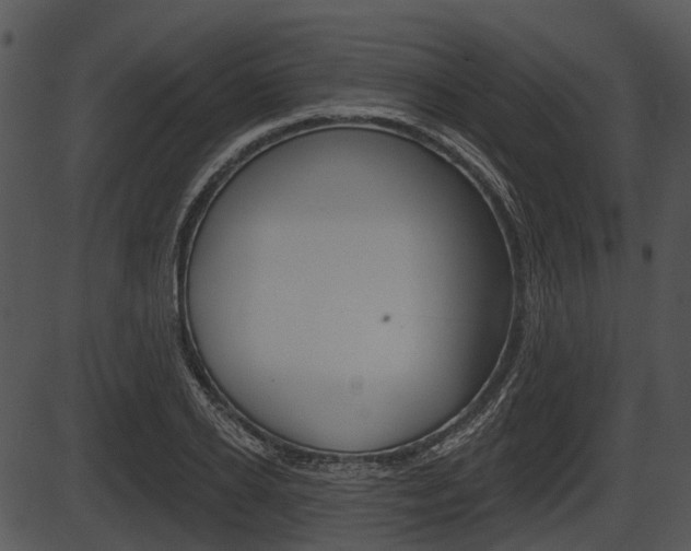X0000087510934200704270750