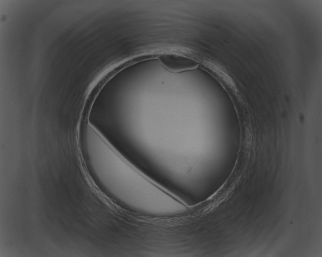 X0000087510936200704270750