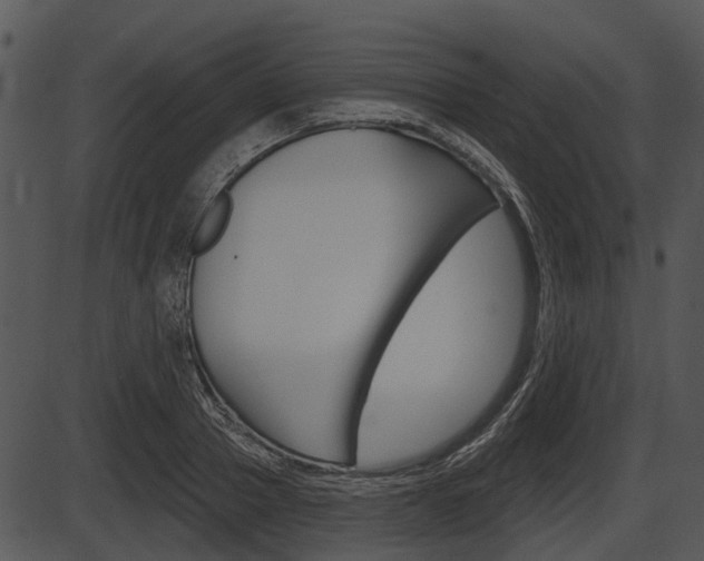 X0000087510937200704270750