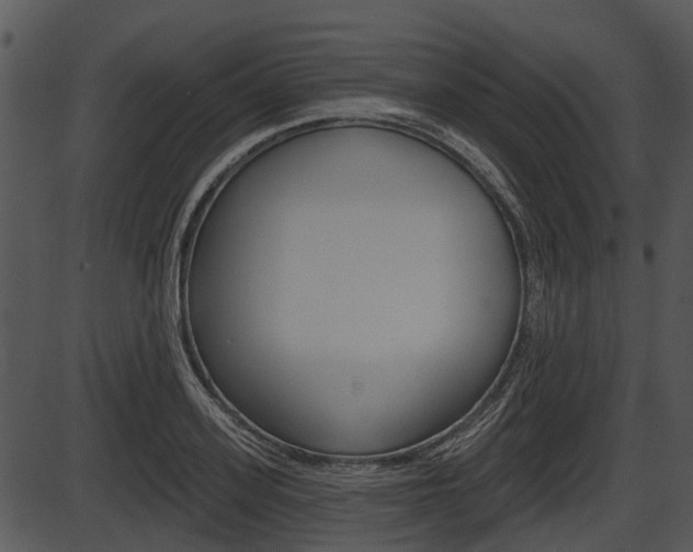 X0000087510939200704270750