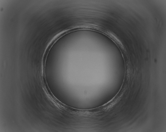 X0000087510940200704270750