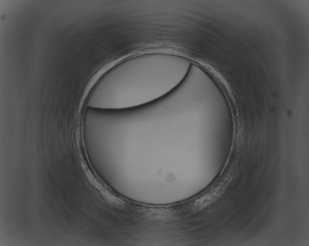 X0000087510941200704270750