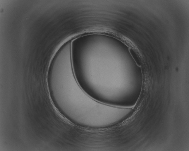X0000087510942200704270750