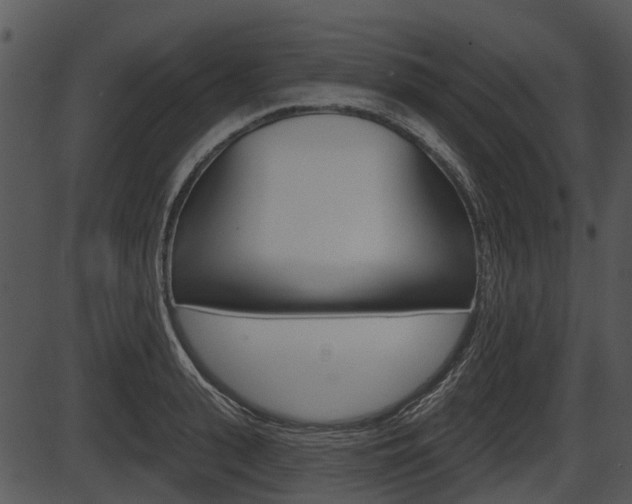 X0000087510943200704270750