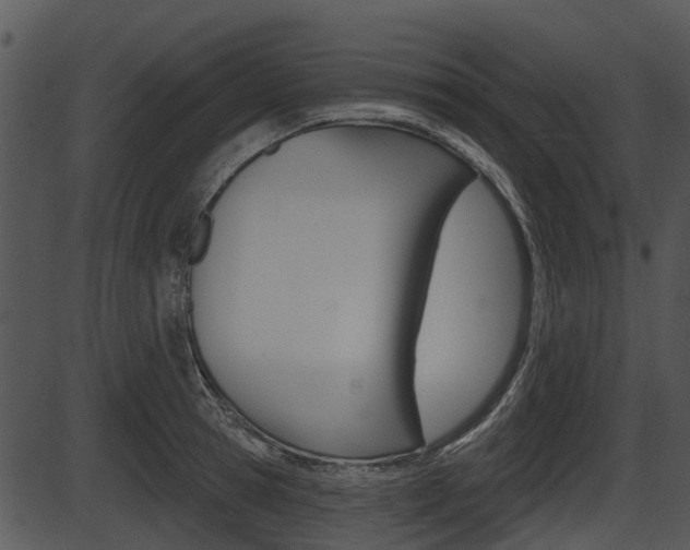 X0000087510945200704270750