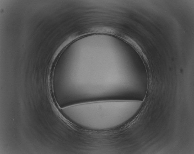 X0000087510947200704270750
