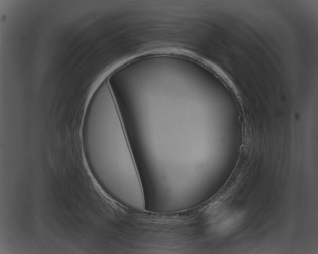 X0000087510951200704270750