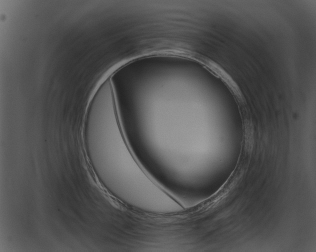X0000087510956200704270750
