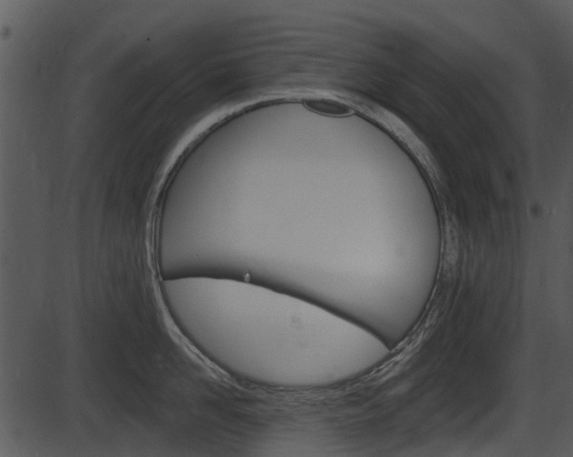 X0000087510958200704270750