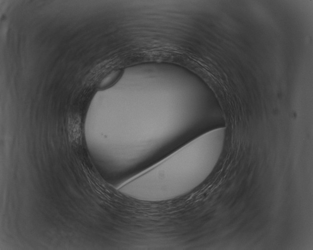X0000087510963200704270750