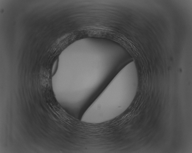 X0000087510964200704270750