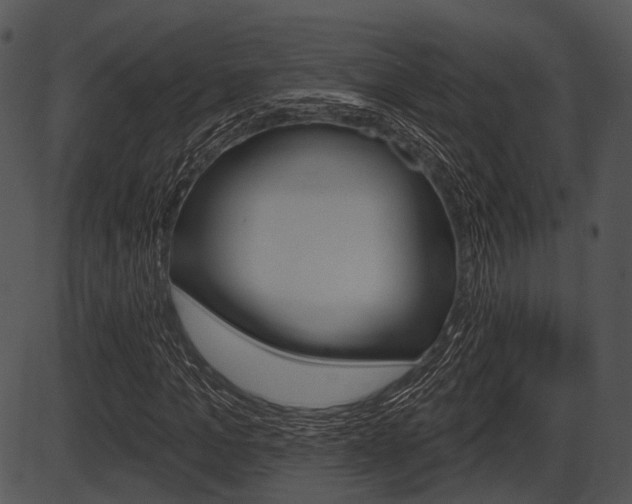 X0000087510965200704270750