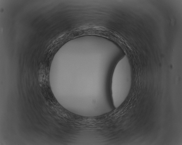 X0000087510966200704270750