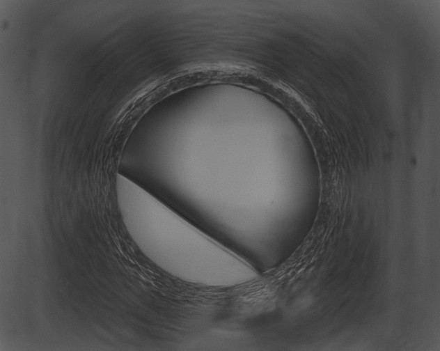 X0000087510967200704270750