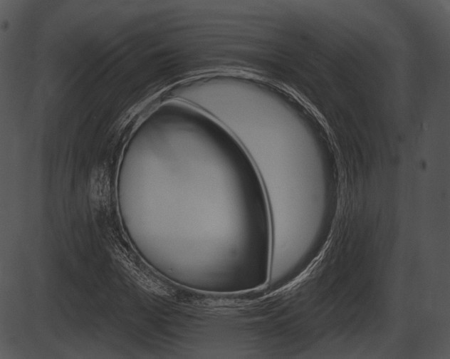 X0000087510969200704270749