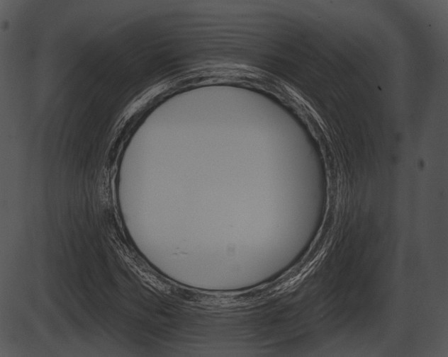 X0000087510970200704270749