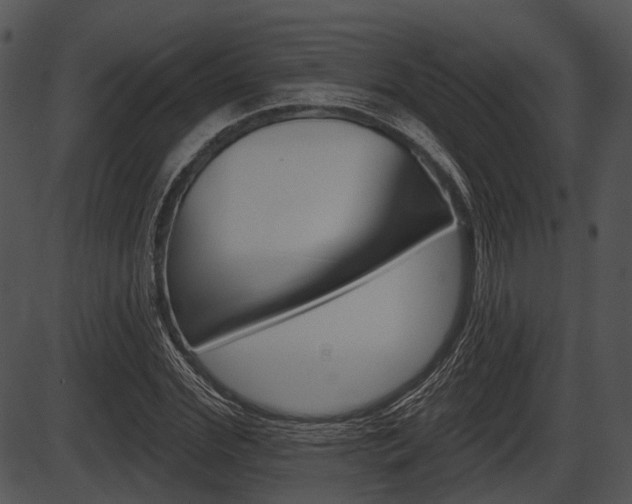 X0000087510972200704270749