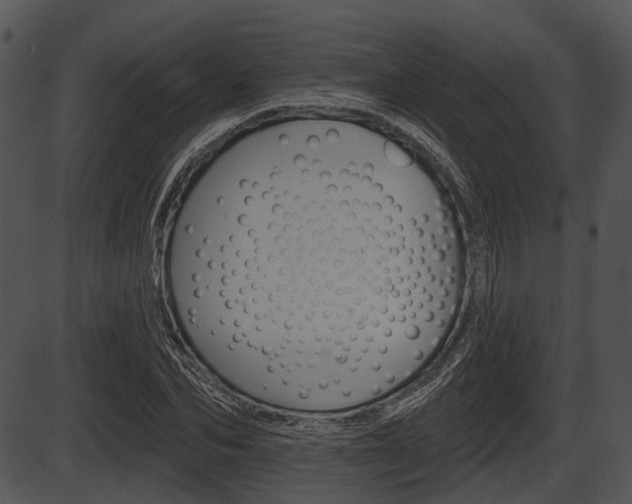 X0000087510974200704270749