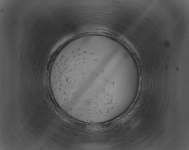 X0000087510978200704270749