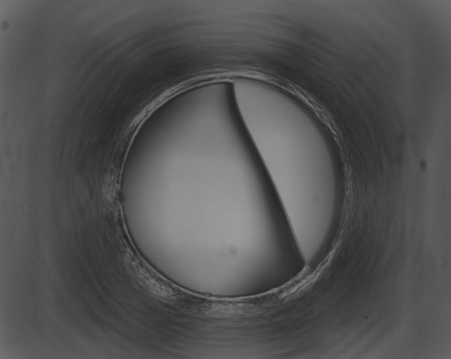 X0000087510985200704270749
