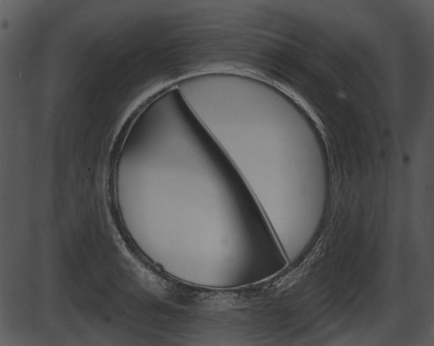 X0000087510991200704270749