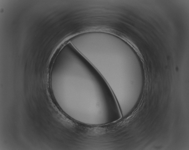 X0000087510992200704270749
