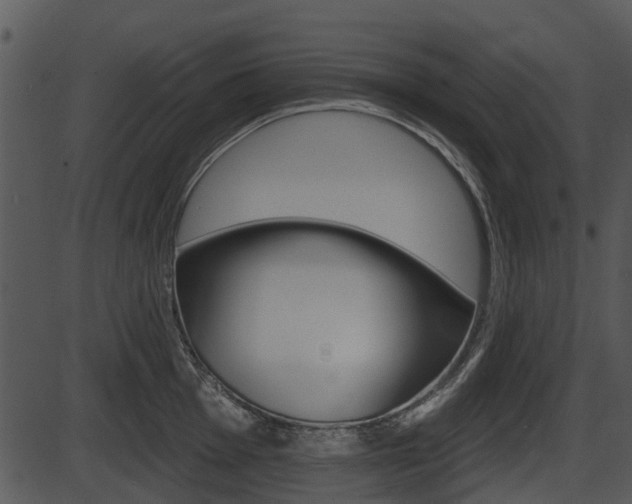 X0000087511001200704270749