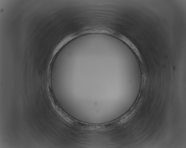 X0000087511002200704270749
