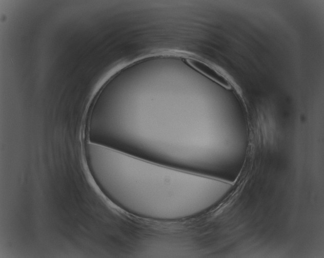 X0000087511007200704270749