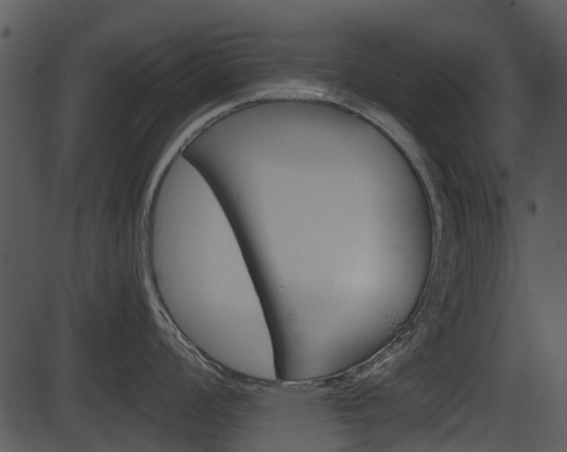 X0000087511008200704270749