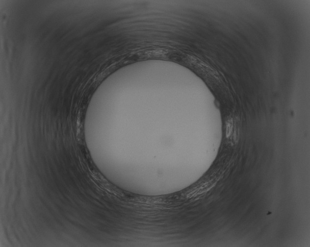 X0000087511011200704270748