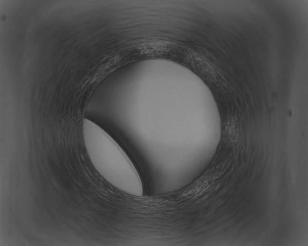 X0000087511012200704270748