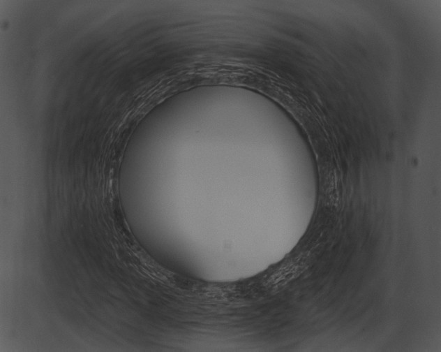 X0000087511013200704270748