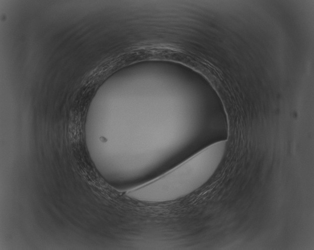X0000087511014200704270748