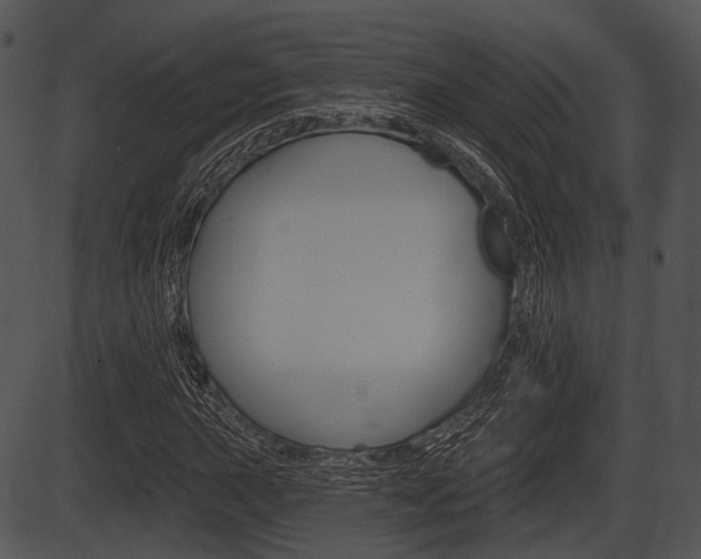 X0000087511015200704270748