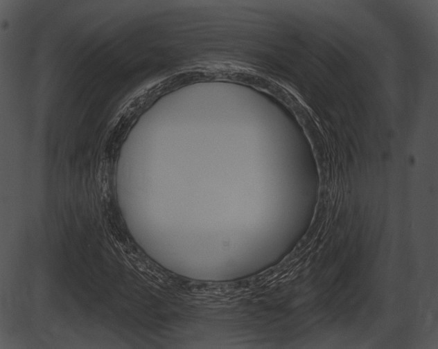 X0000087511016200704270748