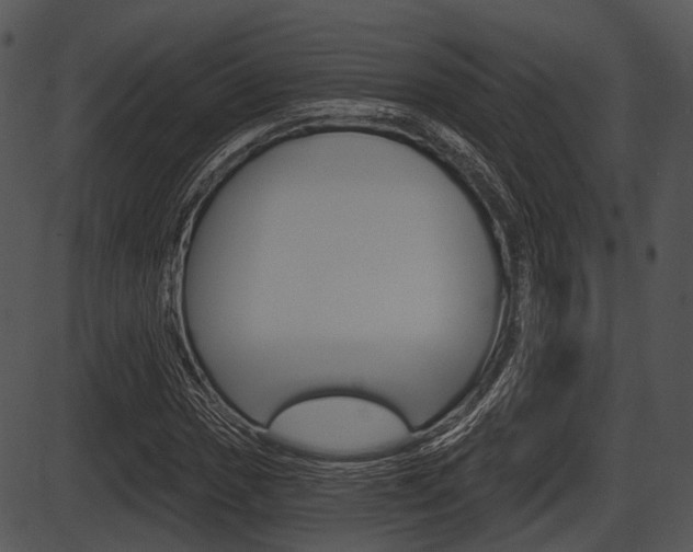 X0000087511017200704270748