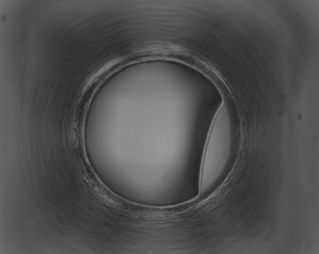 X0000087511018200704270748