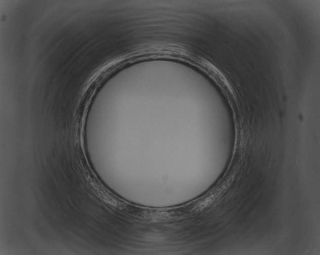X0000087511019200704270748