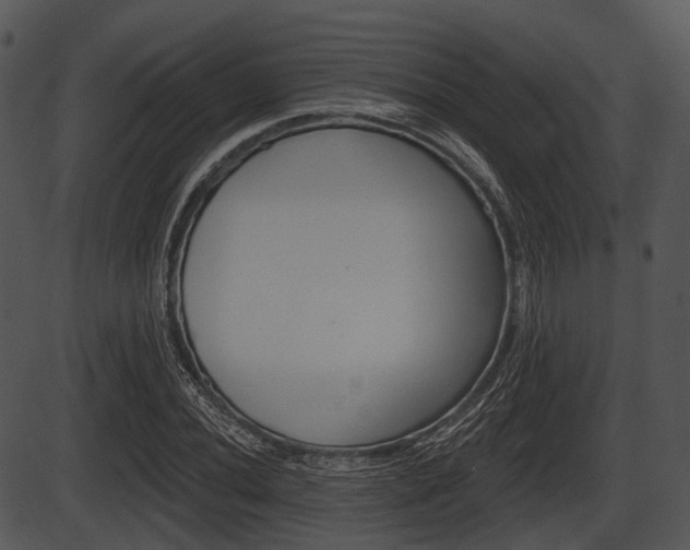 X0000087511020200704270748