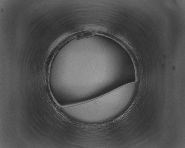 X0000087511022200704270748