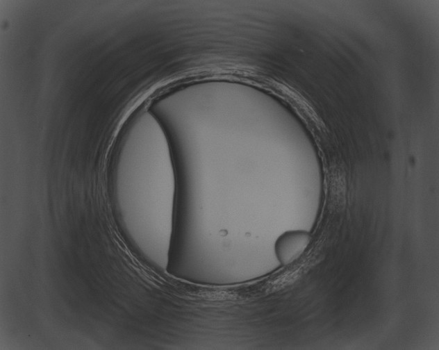 X0000087511023200704270748