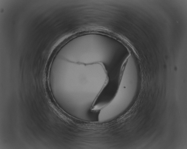 X0000087511024200704270748