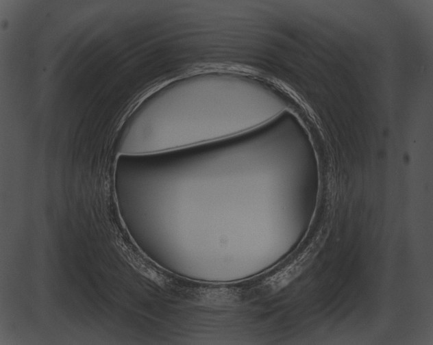 X0000087511025200704270748