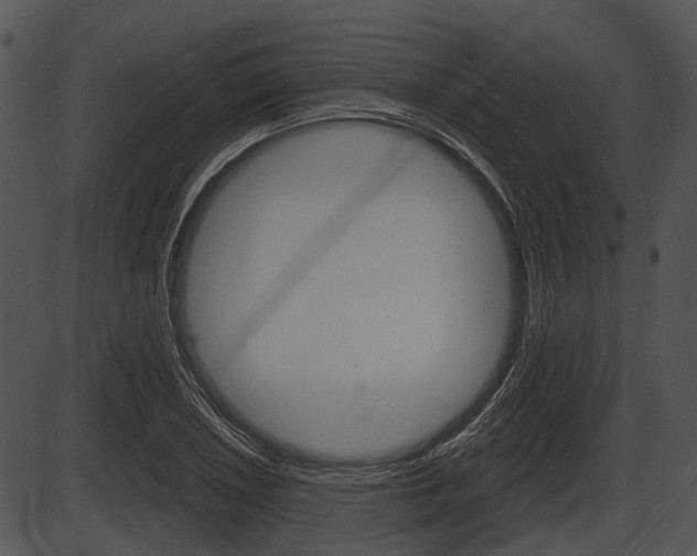 X0000087511026200704270748