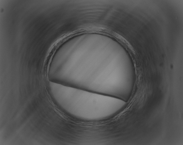 X0000087511027200704270748