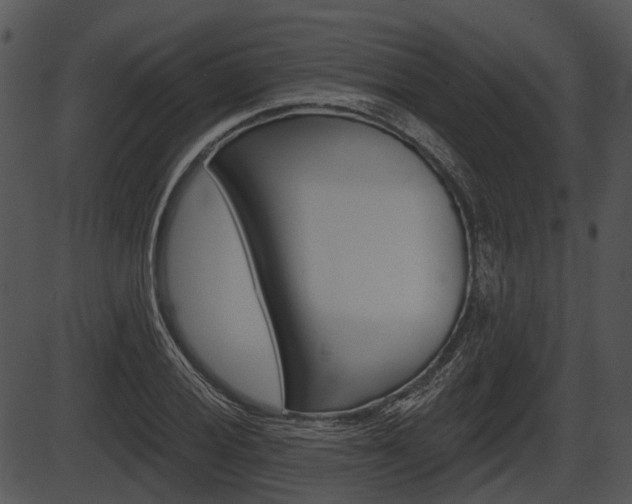 X0000087511028200704270748