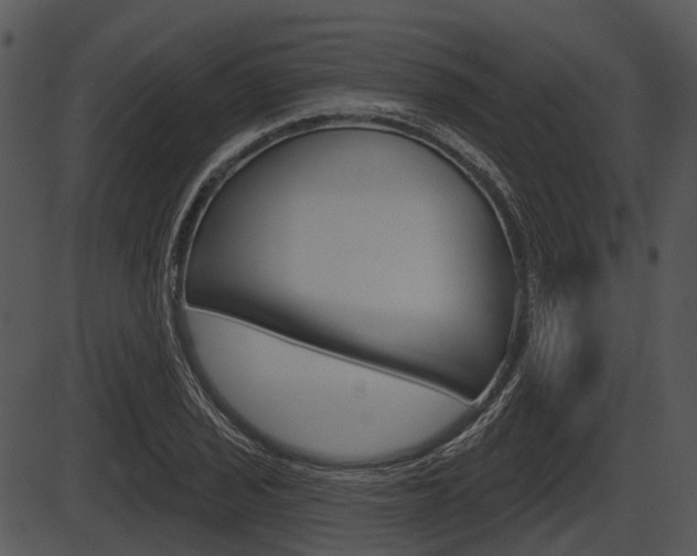 X0000087511029200704270748