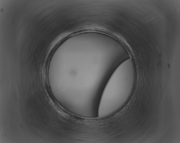 X0000087511032200704270748
